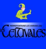 TREMPLIN DES CELTIVALES